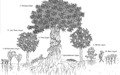 Nourishing Nature’s Way: Exploring the Art of Edible Forest Gardening