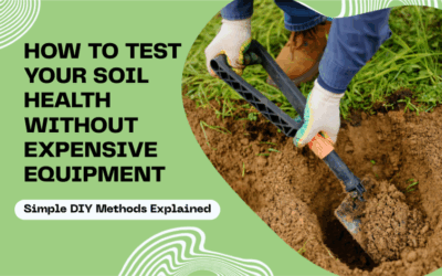 How to Test Your Soil Health Without Expensive Equipment