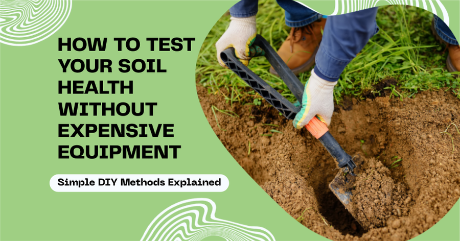 Gardener using a hand tool to dig and test soil in a garden bed, illustrating how to check soil health at home without expensive equipment.